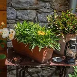 Farmház Treterre *