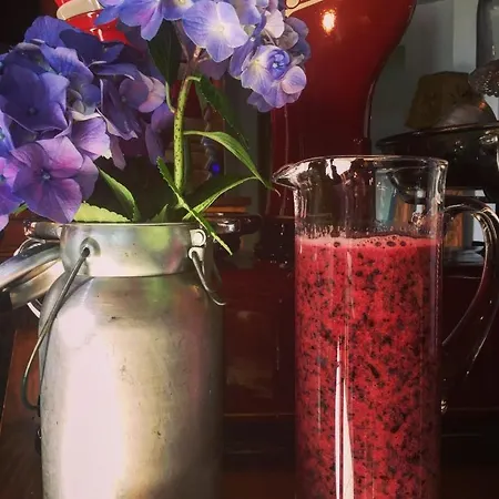 Treterre Pianello Del Lario