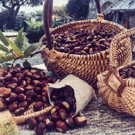 Treterre * Pianello Del Lario