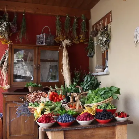 Çiftlik konaklama Treterre