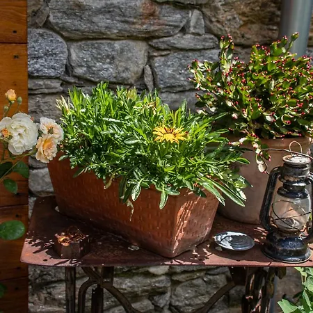 Agroturismo Treterre *