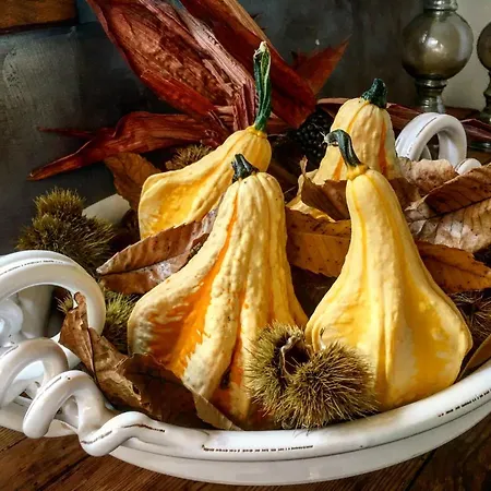 Treterre Pianello Del Lario