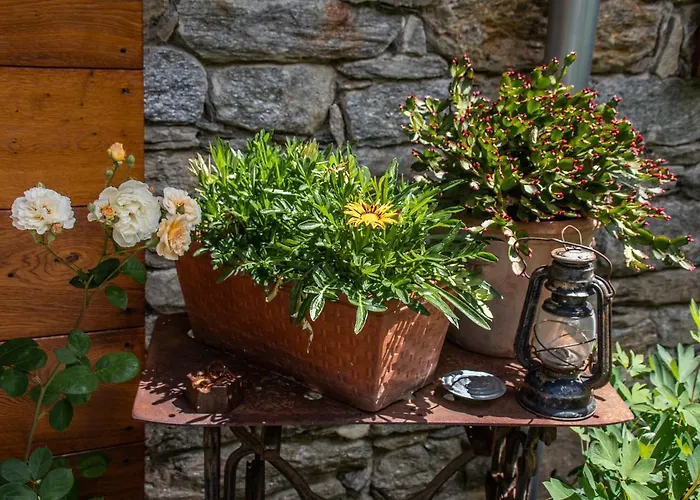 Κατάλυμα σε φάρμα Treterre *