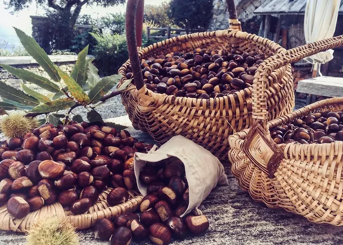 Treterre * Pianello Del Lario